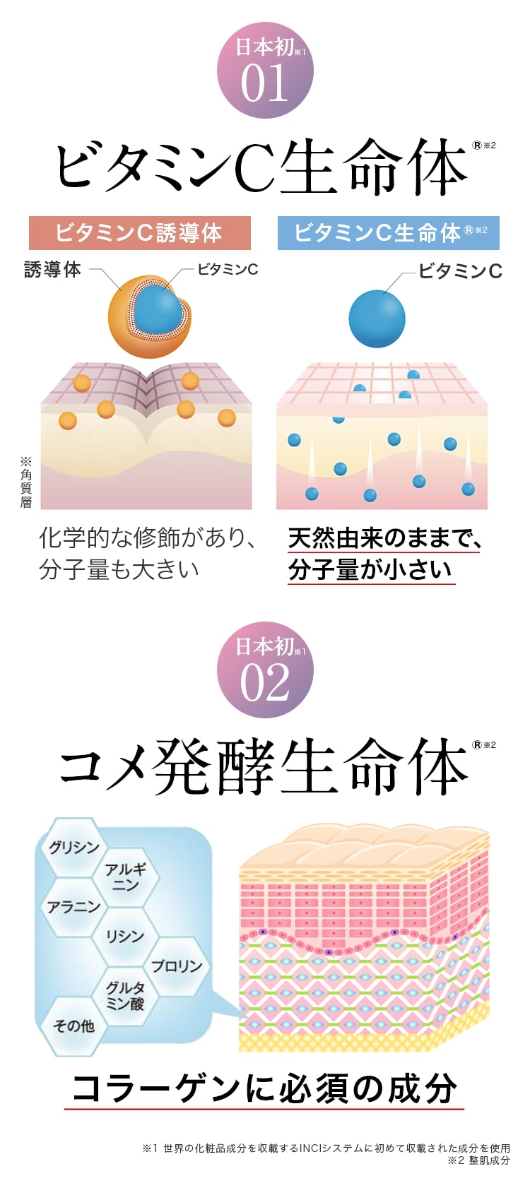 ビタミンC生命体®とコメ発酵生命体®