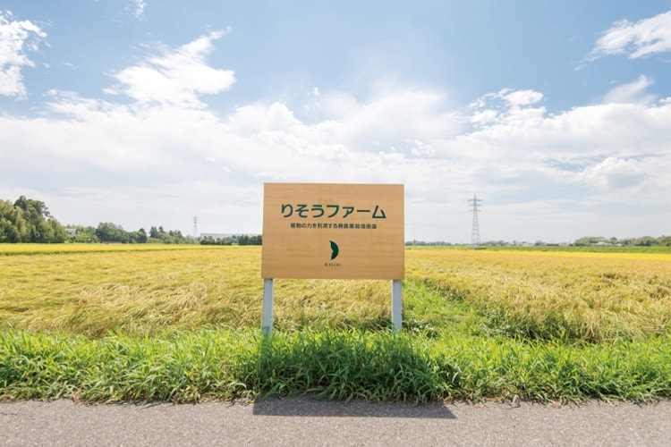 りそうファームの写真