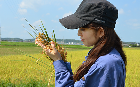 最高の原料を求めて - リソウの無農薬栽培米