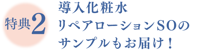 特典2 導入化粧水リペアローションSOのサンプルもお届け！