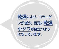 乾燥により、コラーゲンが減少。小ジワが目立つように