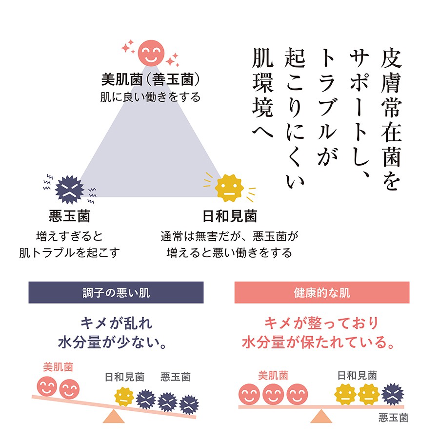 4つの発酵美肌菌が肌のハリを高める