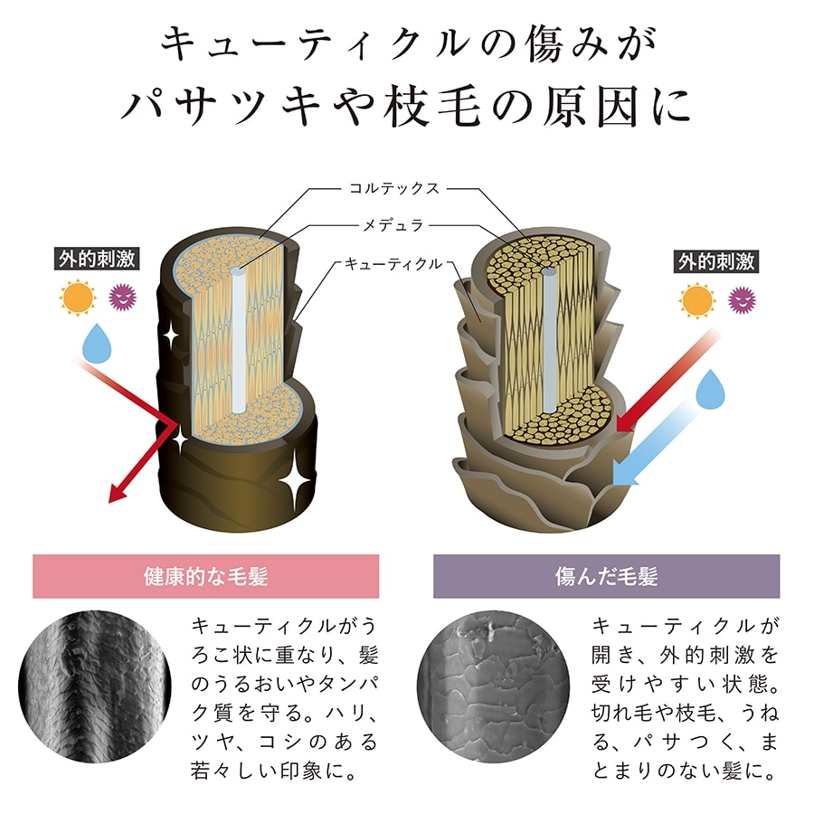 毎日のケアでキューティクルの補修を