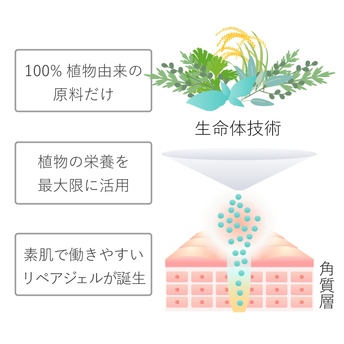 100%植物由来の原料だけ 植物の栄養を最大限に活用 素肌で働きやすいリペアジェルが誕生