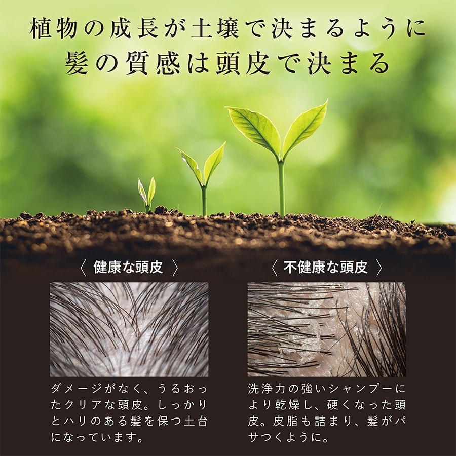 成分によっては頭皮環境を悪化させることも！？