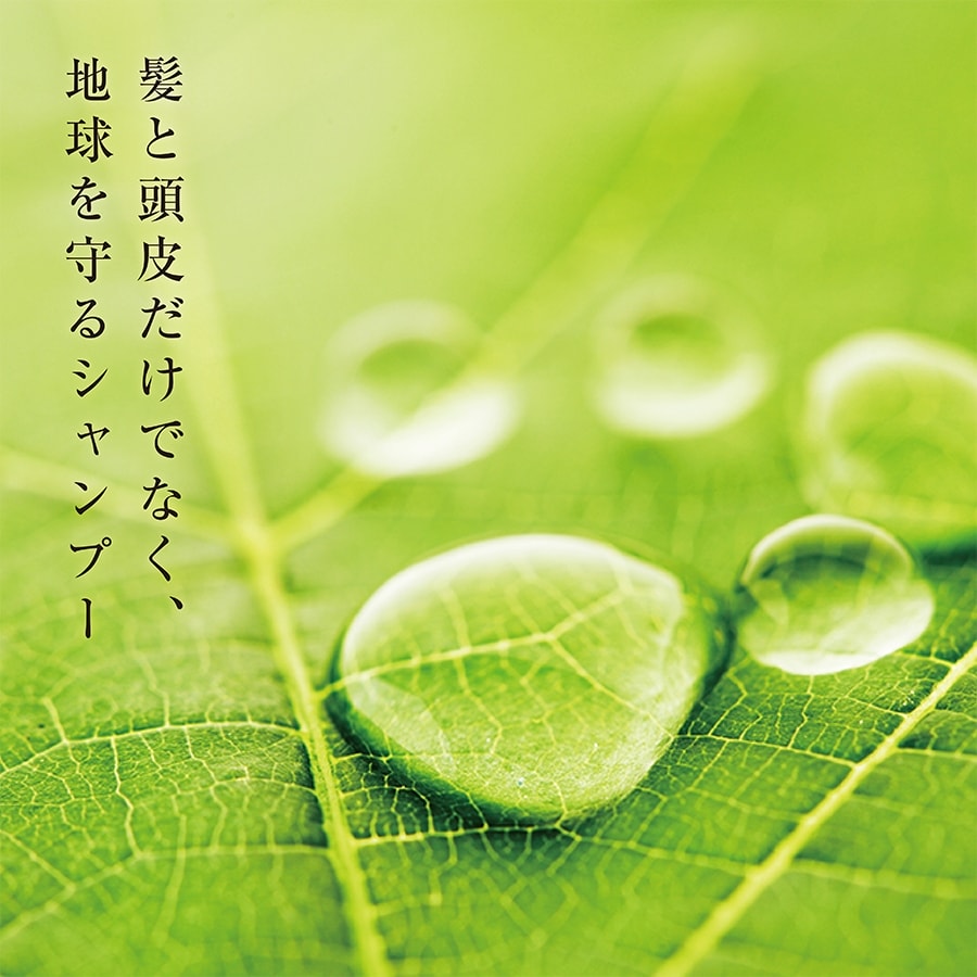 髪と頭皮、そして地球にも優しく