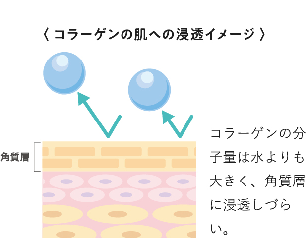 コラーゲンの肌への浸透イメージ