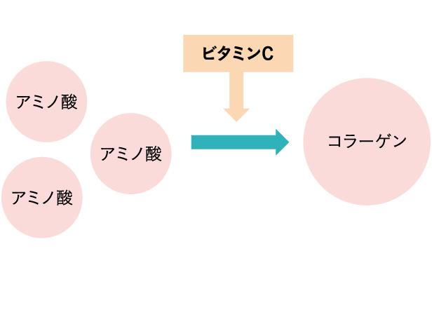 ビタミンCのコラーゲンサポートイメージ