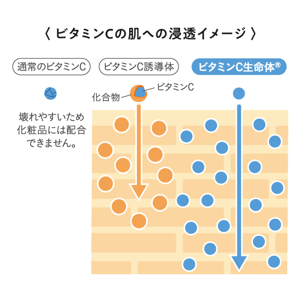 ビタミンCの肌への浸透イメージ