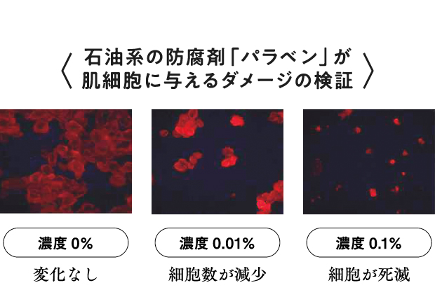 パラベンが肌細胞に与えるダメージの検証