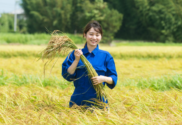 リソウの無農薬栽培米