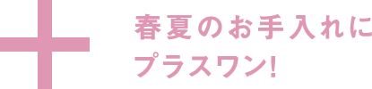 春夏のお手入れにプラスワン！