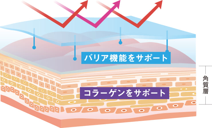 2品の合わせ使いで、より効果的な美肌づくりへ