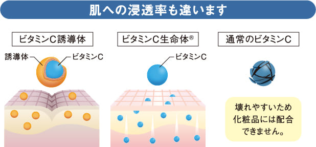 肌への浸透率の比較