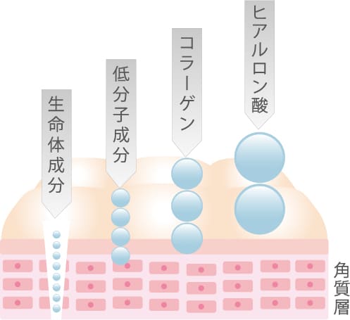 生命体図