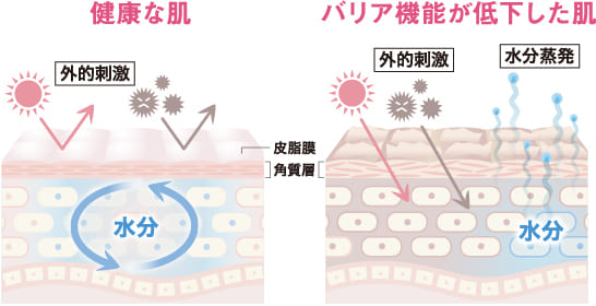 肌図