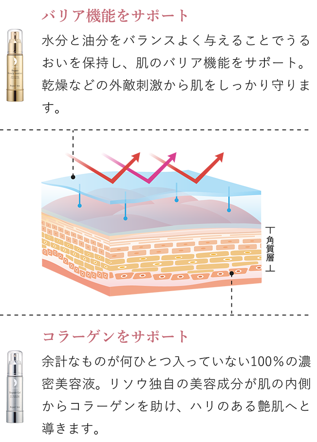 肌図
