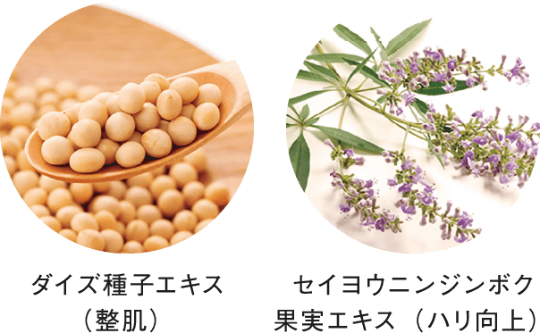 成分イメージ画像