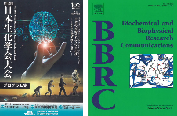 日本生科学会大会ポスター BBRC