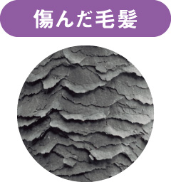 傷んだ毛髪の表面