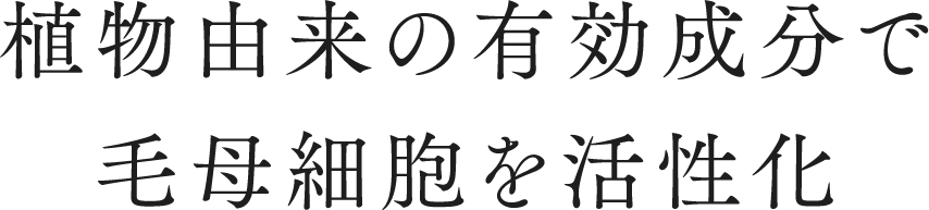 植物由来の有効成分で毛母細胞を活性化