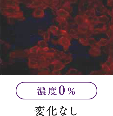 濃度0％