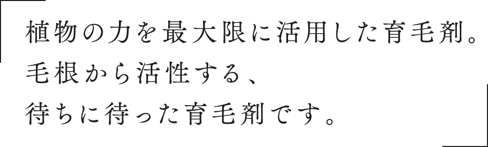 コメント